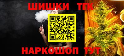 индика Мариинск