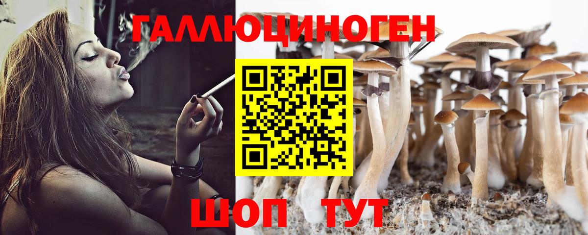 Котлас  Галлюциногенные грибы ЛСД  Псилоцибиновые грибы Psilocybe  Вход с VPN 